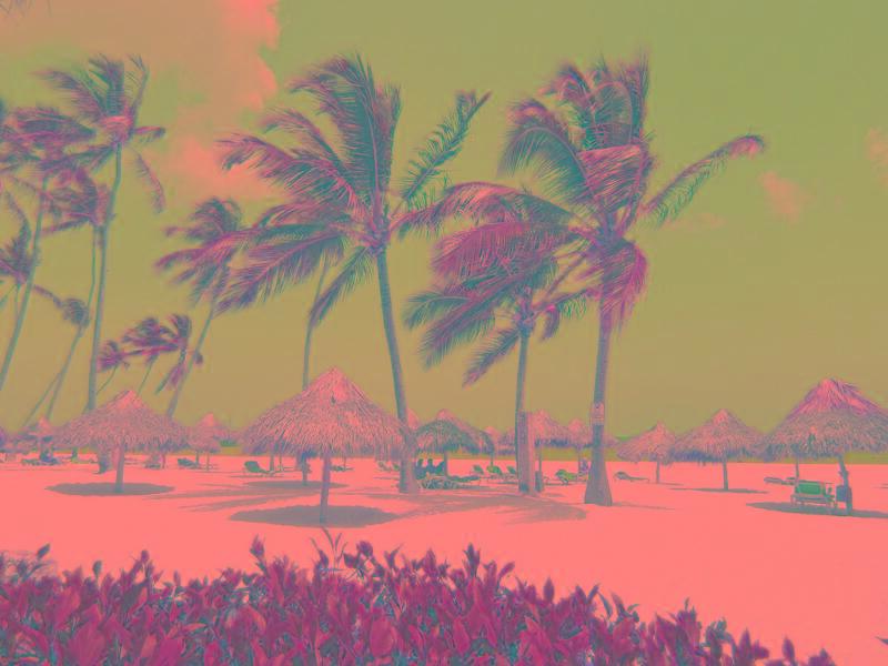 Ducassi Club & Rooftop Pool 4* Punta Cana