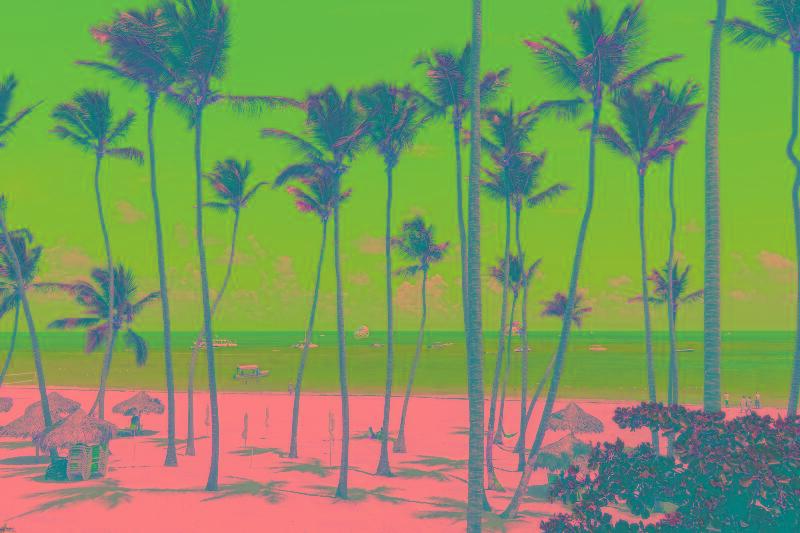 Ducassi Club & Rooftop Pool Hotel Punta Cana